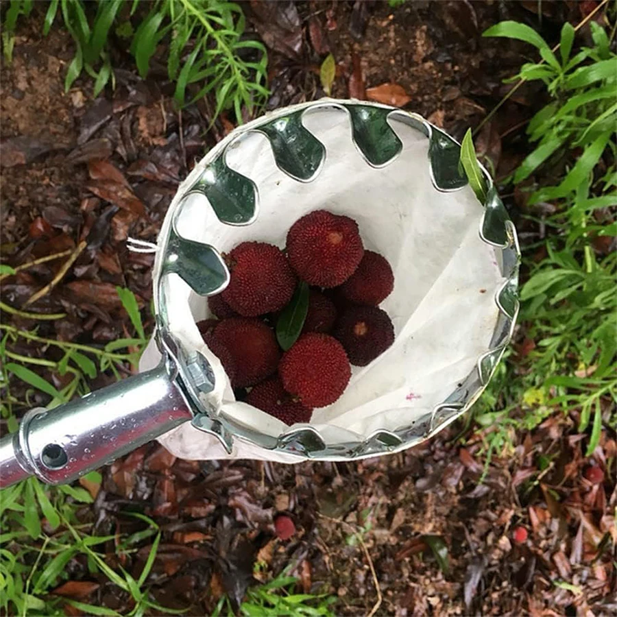 Boomfruitplukker Praktisch tui - Agriculture Farming Practices recensie en prijs