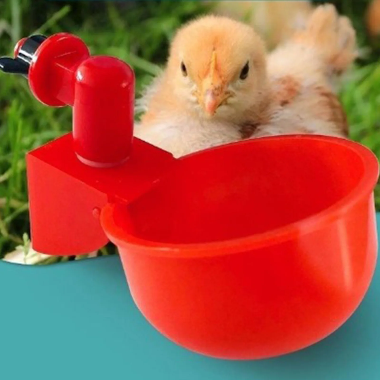 6-36 Stuks Kip Eend Drinkbeker - Chicken Nipple Drinker recensie en prijs