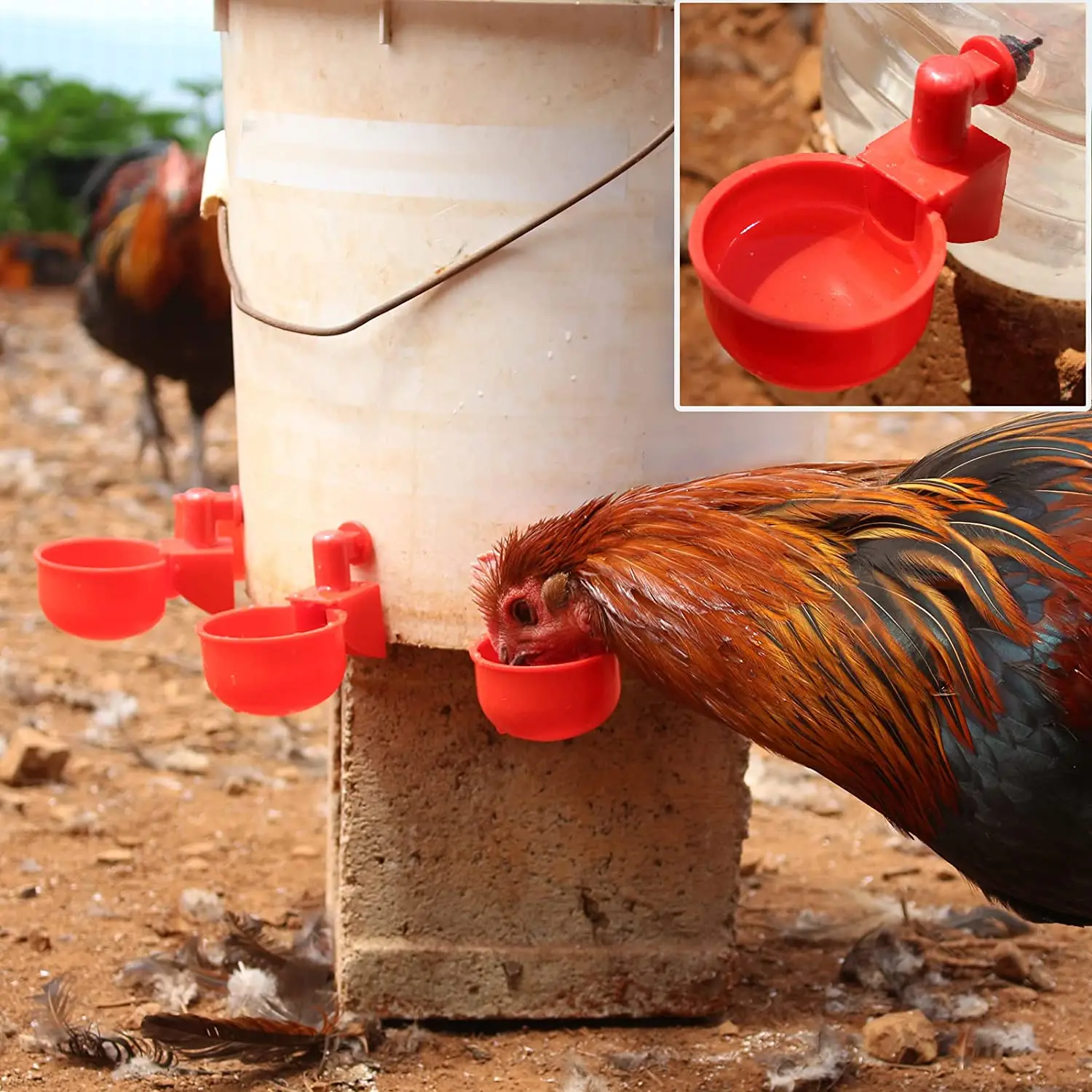 6-36 Stuks Kip Eend Drinkbeker - Chicken Nipple Drinker recensie en prijs