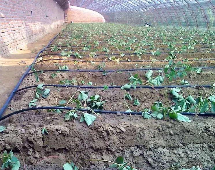 1HA Irrigatie Kit Landbouw Ger - Agriculture Farming System recensie en prijs