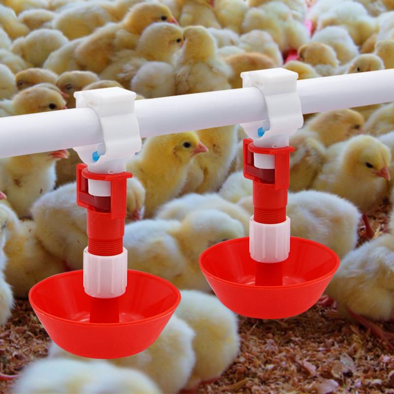5/10/20 Stuks Automatische Kip - Chicken Nipple Drinker recensie en prijs