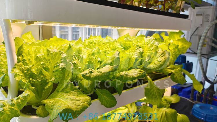 c Landbouwmachine voor het kwe - Agriculture Farming System recensie en prijs