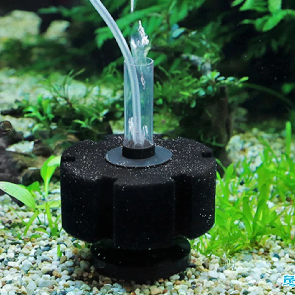 Aquariumfilterspons voor visba - Aquaculture Aerator Pump recensie en prijs