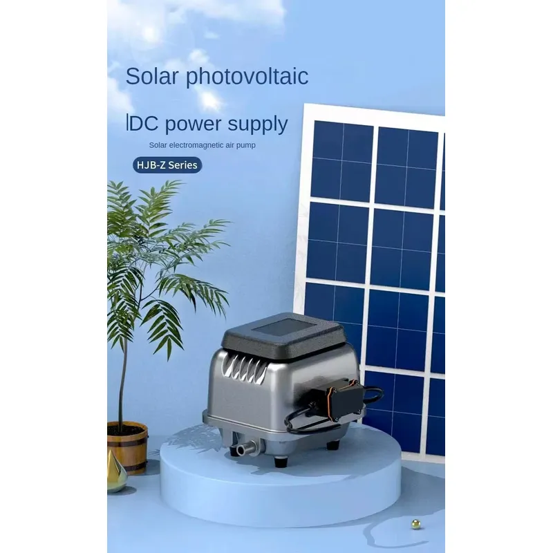 65W DC 24V Hoge Druk Vissenkwe - Aquaculture Aerator Pump recensie en prijs